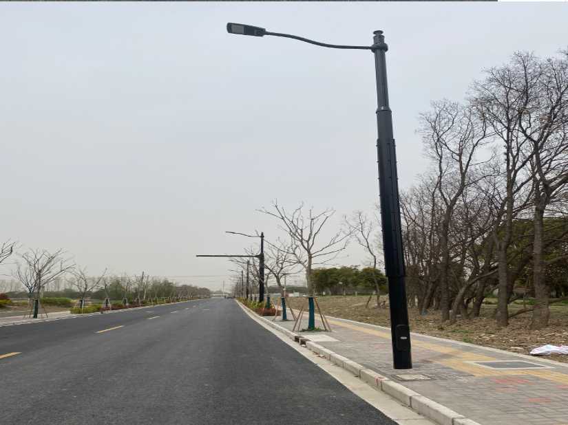 龙泉市上海综合杆 太阳能路灯工程